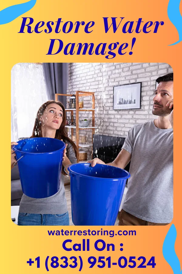 water restoration Total Water Works LLC Ocean Grove
